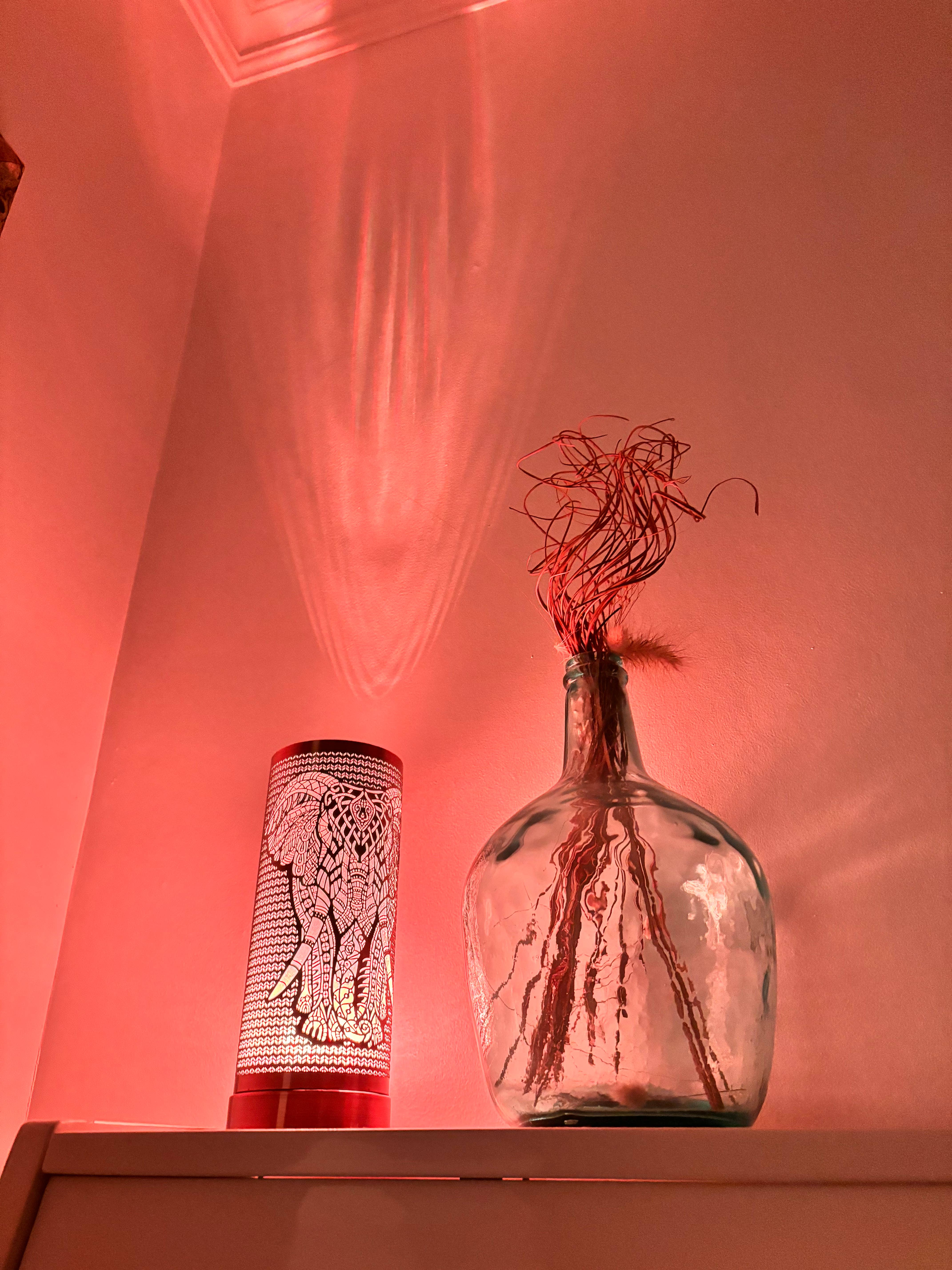 Luxarom - Wholesale Fragrance Warmer - LED-Elephant Fragrance Diffuser7