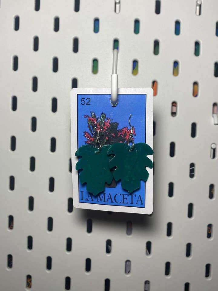 monstera for wholesale by Berries Grove