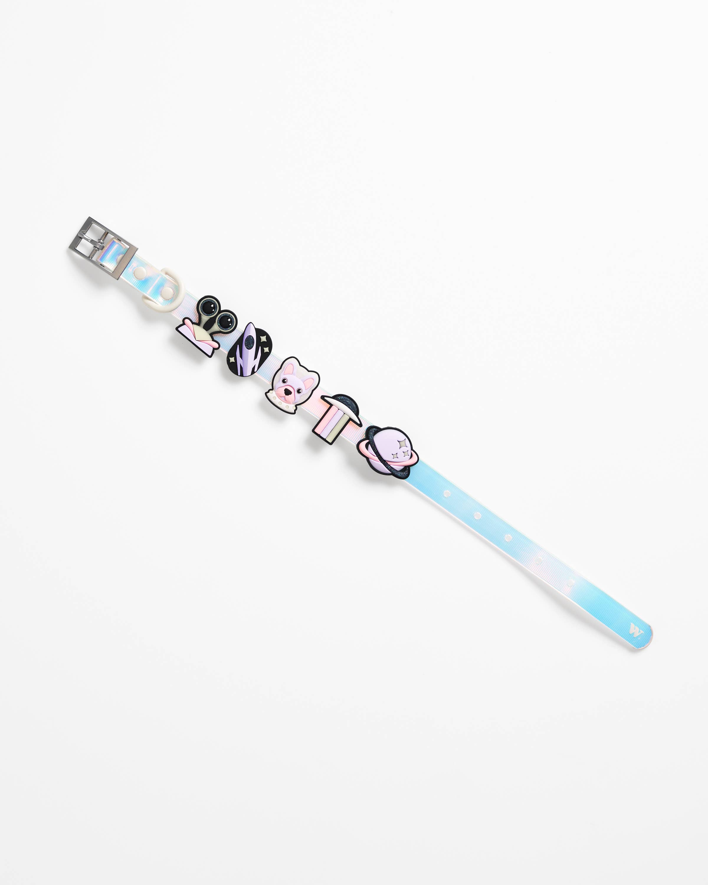 Wild One - Wholesale Pet Collar Charm - Cat/Dog - Flair Collar and Leash Charm Pack Accessories5