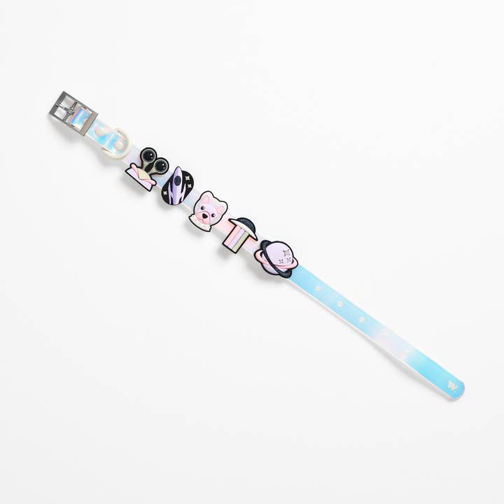 Wild One - Wholesale Pet Collar Charm - Cat/Dog - Flair Collar and Leash Charm Pack Accessories5