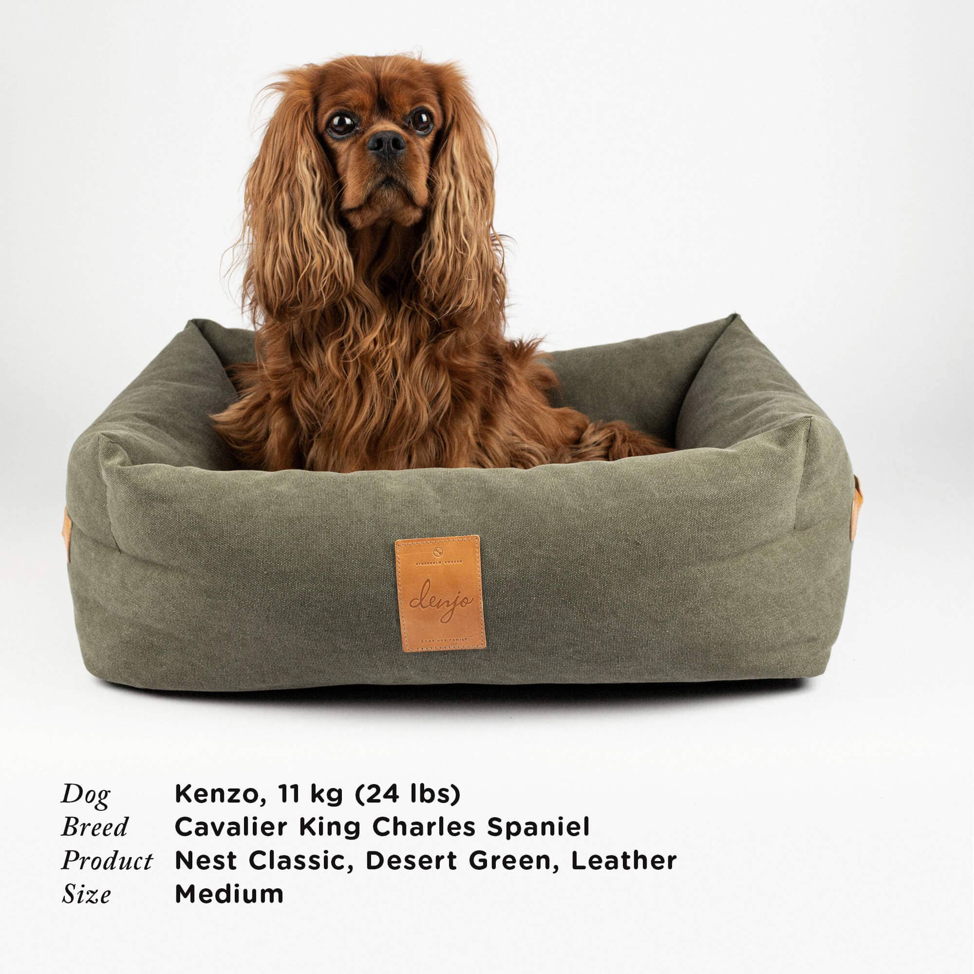Denjo Dogs – wholesale Pet bed – Dog – Dog Bed Classic Nest with Leather Details Desert Green4