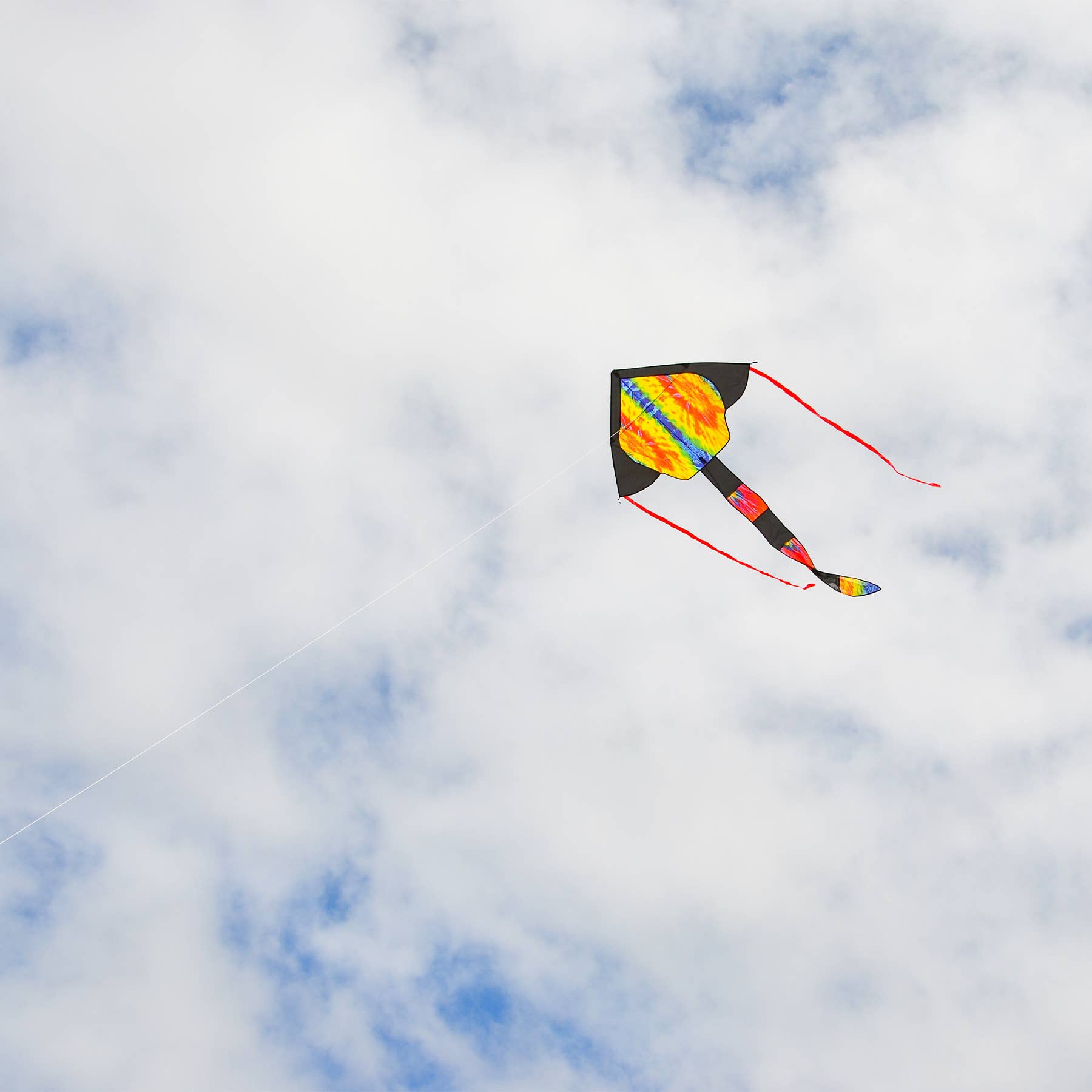 In the Breeze, LLC. - Vente Cerf-volant - Cerf-volant Tie Dye1