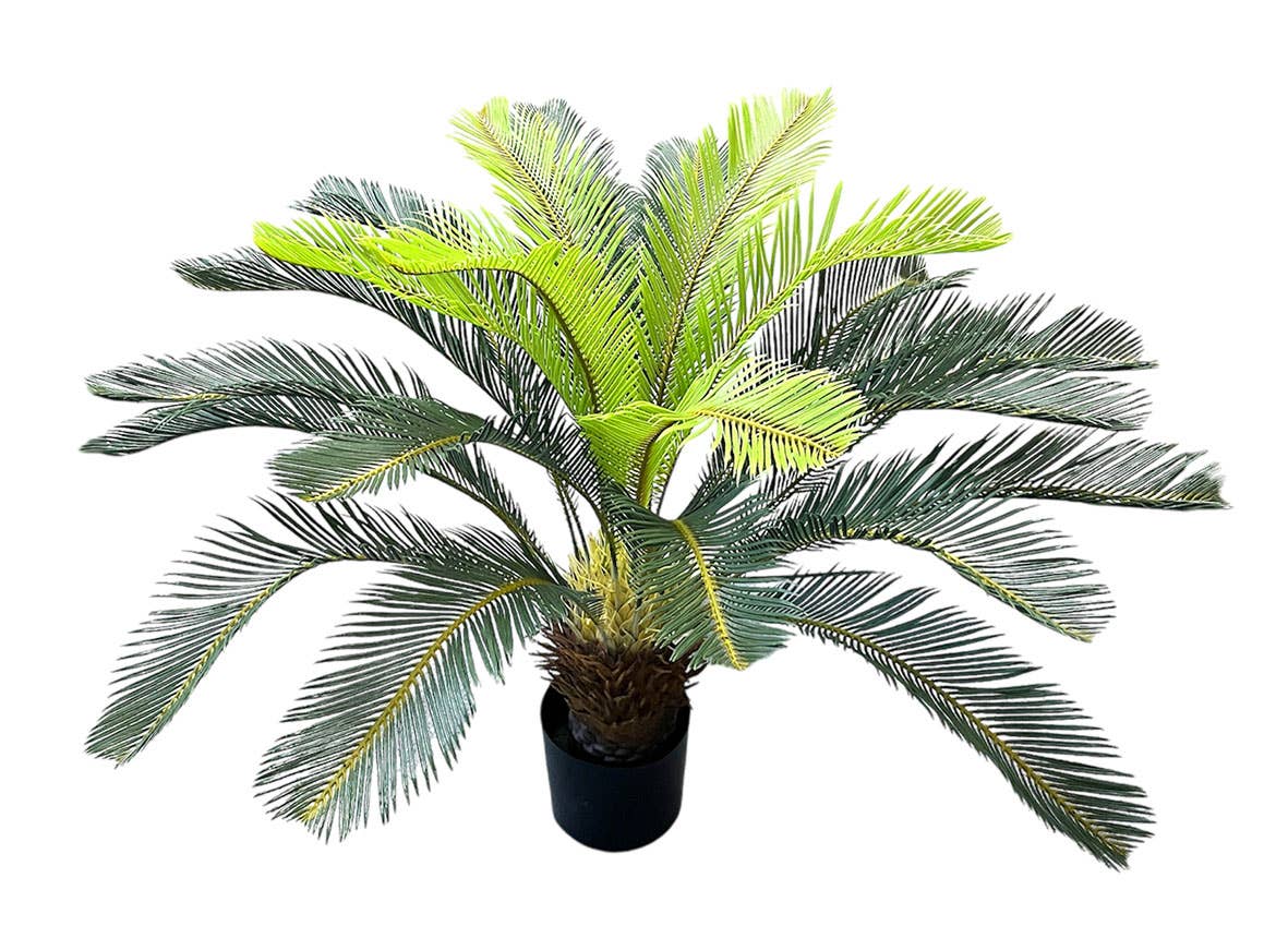 Aguilar Málaga - Wholesale Artificial Plant - CICA PLANT 120cm