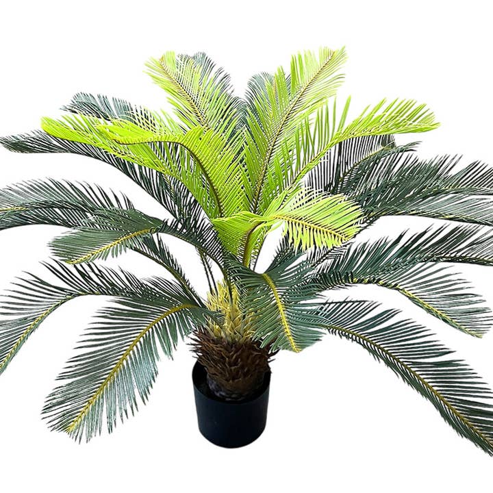 Aguilar Málaga - Wholesale Artificial Plant - CICA PLANT 120cm0
