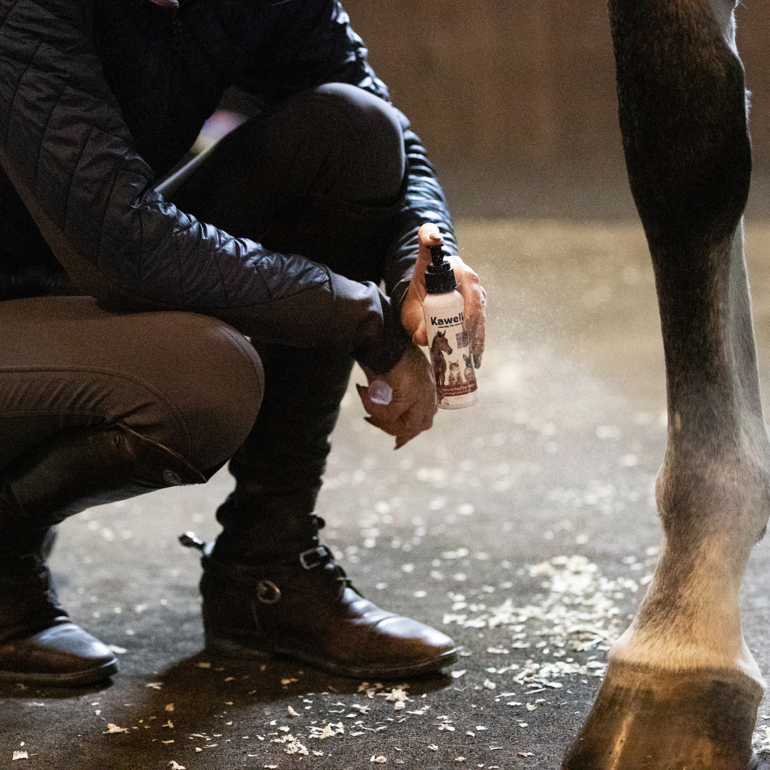 Kawell USA - Wholesale Horse Conditioner/Grooming Aid - Dragon's Blood Natural Wound Spray - For Horses1