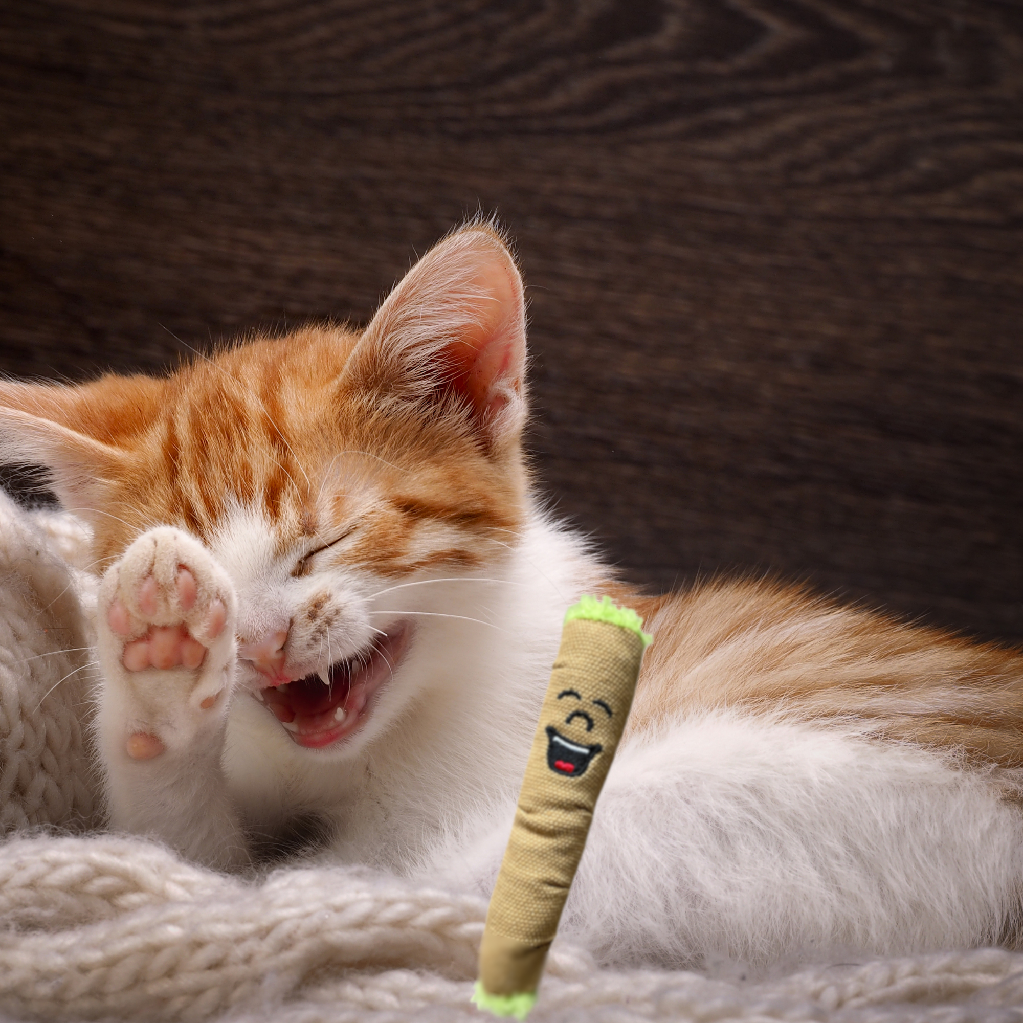 PAW:20 - Vente Jouet – chat - Lil' B the Blunt, Jouet pour Chat en Herbe à Chat Farci Parodique7