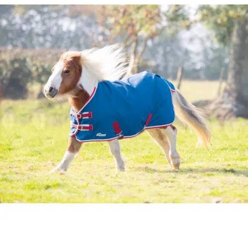 Teal Shires Minature Highlander Lite for wholesale on Faire0