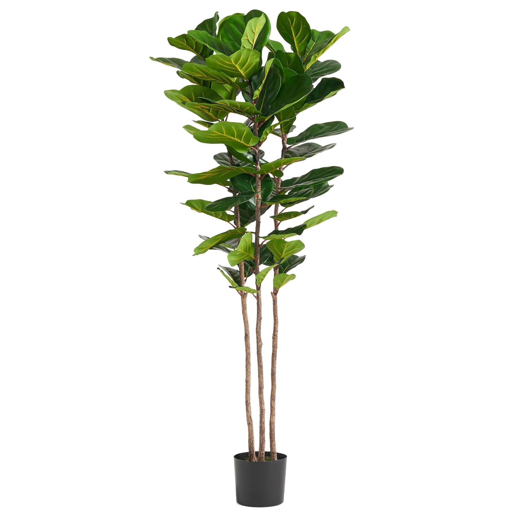 Leaf Design UK LTD – wholesale Artificial plant – 180cm Premium Artificial Fiddle Leaf Fig Tree0