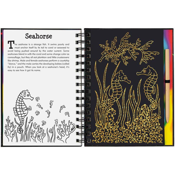 Peter Pauper Press - Wholesale Sketchbook/Sketchpad - Coral Reefs Scratch and Sketch1
