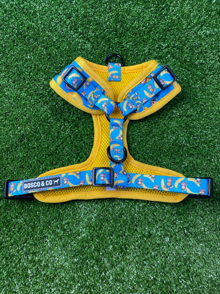 Harnais rembourré ajustable pour chien : Monkey Business pour la vente par Bosco & Co