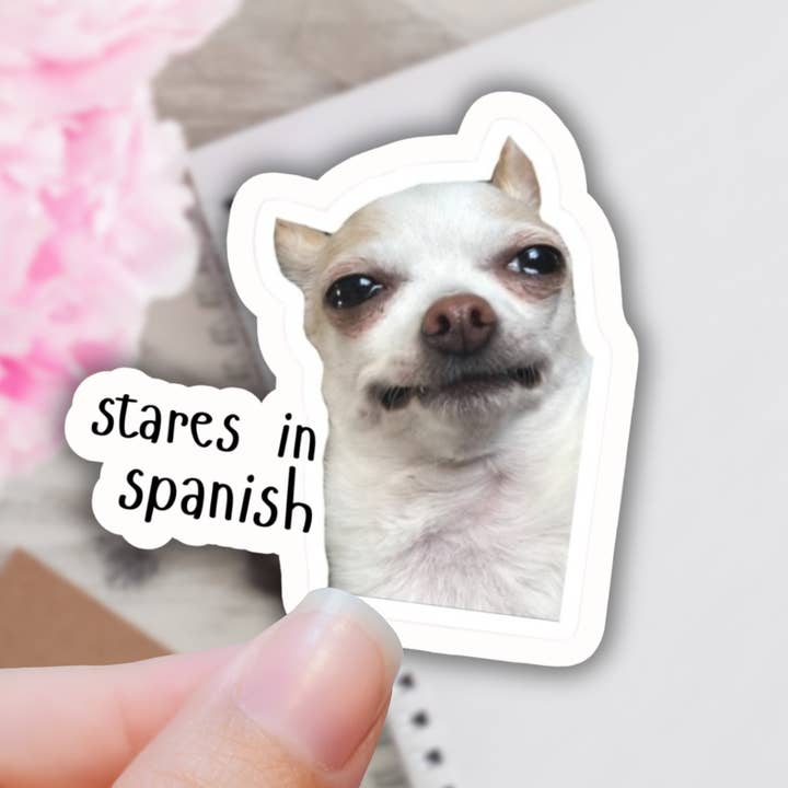 Lalatina Shop - Wholesale Phone & Laptop Stickers - Stares in spanish funny latinx sticker, dog laptop decal