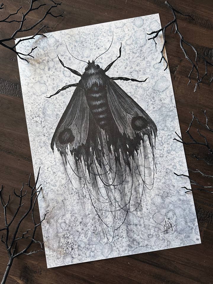 Impression d'art de papillon de fil pour la vente par Mallory Hart Art