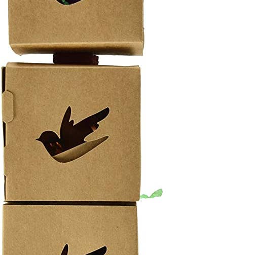 Caitec Inc - Wholesale Vogelschommel - Middelgrote drievoudige foerageerbox1