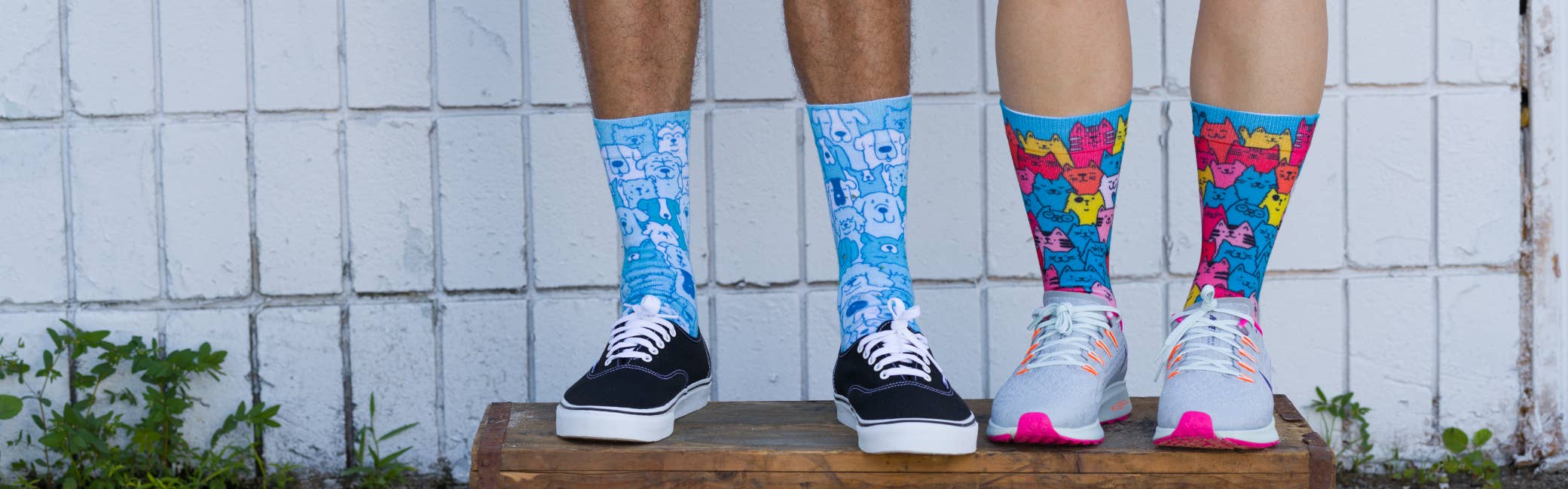 DivvyUp - Venta al por mayor Calcetines - Unisex - Calcetines de razas de perros7