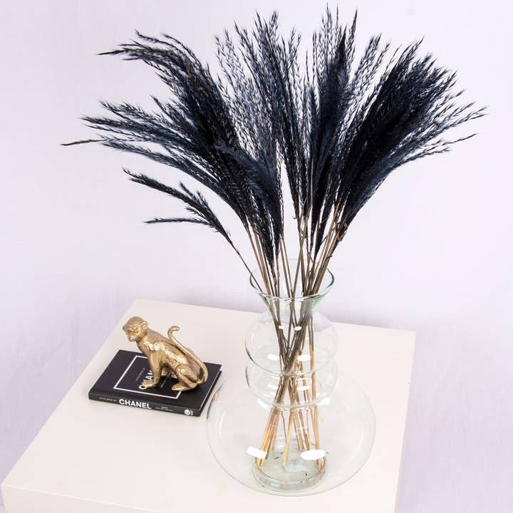 pampas studio uk - Wholesale Dried/pressed flowers - Fluffy Mini Pampas Grass - Black2