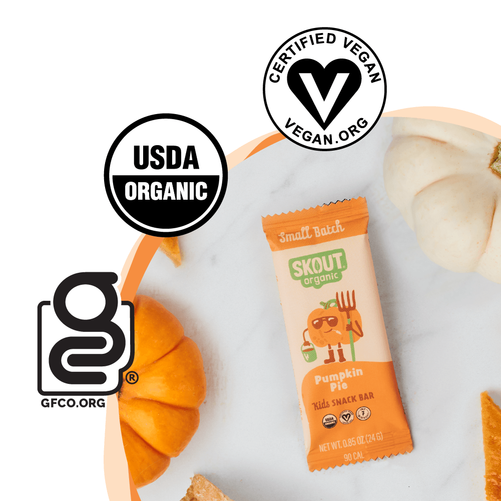 Skout Organic - Wholesale Snack bar - Skout Organic Pumpkin Pie Kids Snack Bar - Seasonal!4