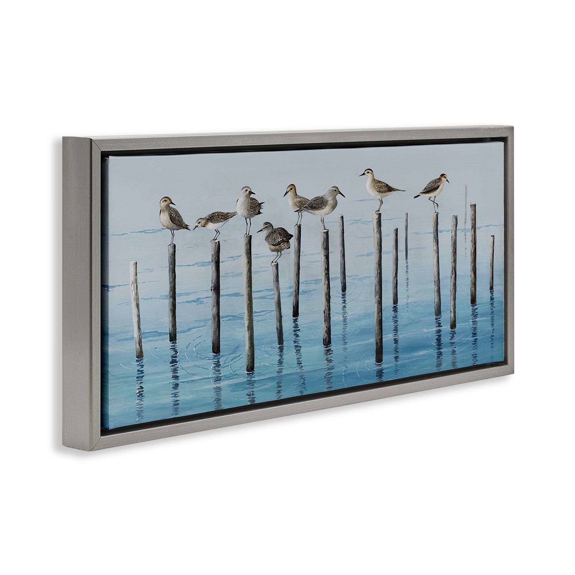 Stupell Industries - Wholesale Wall Sign - Perched Sea Birds - Framed Wall Art21