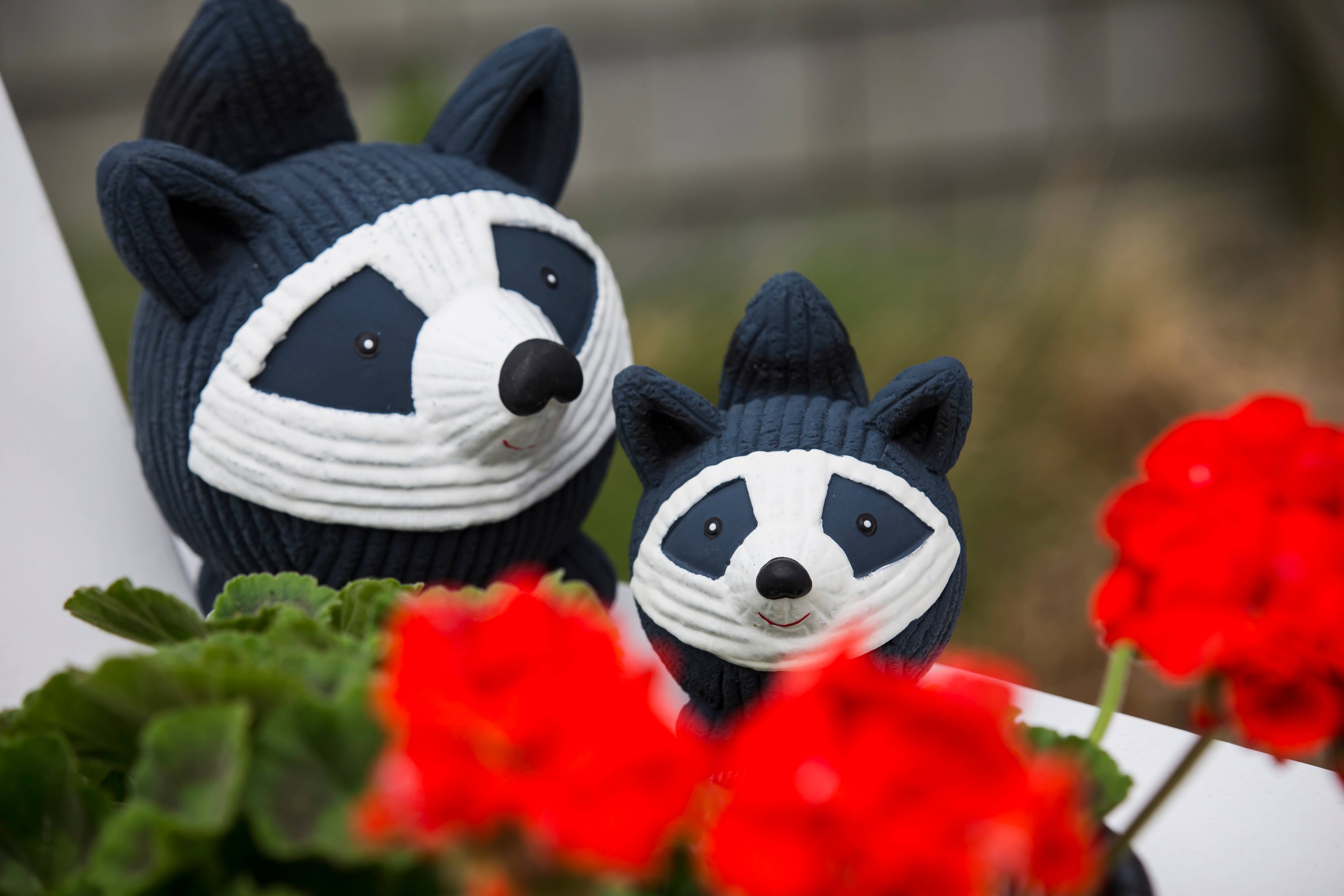 HuggleGroup - Vente Jouet couineur – chien - Jouet ballon Reggie Raccoon Ruff-Tex® pour chien, grand modèle3