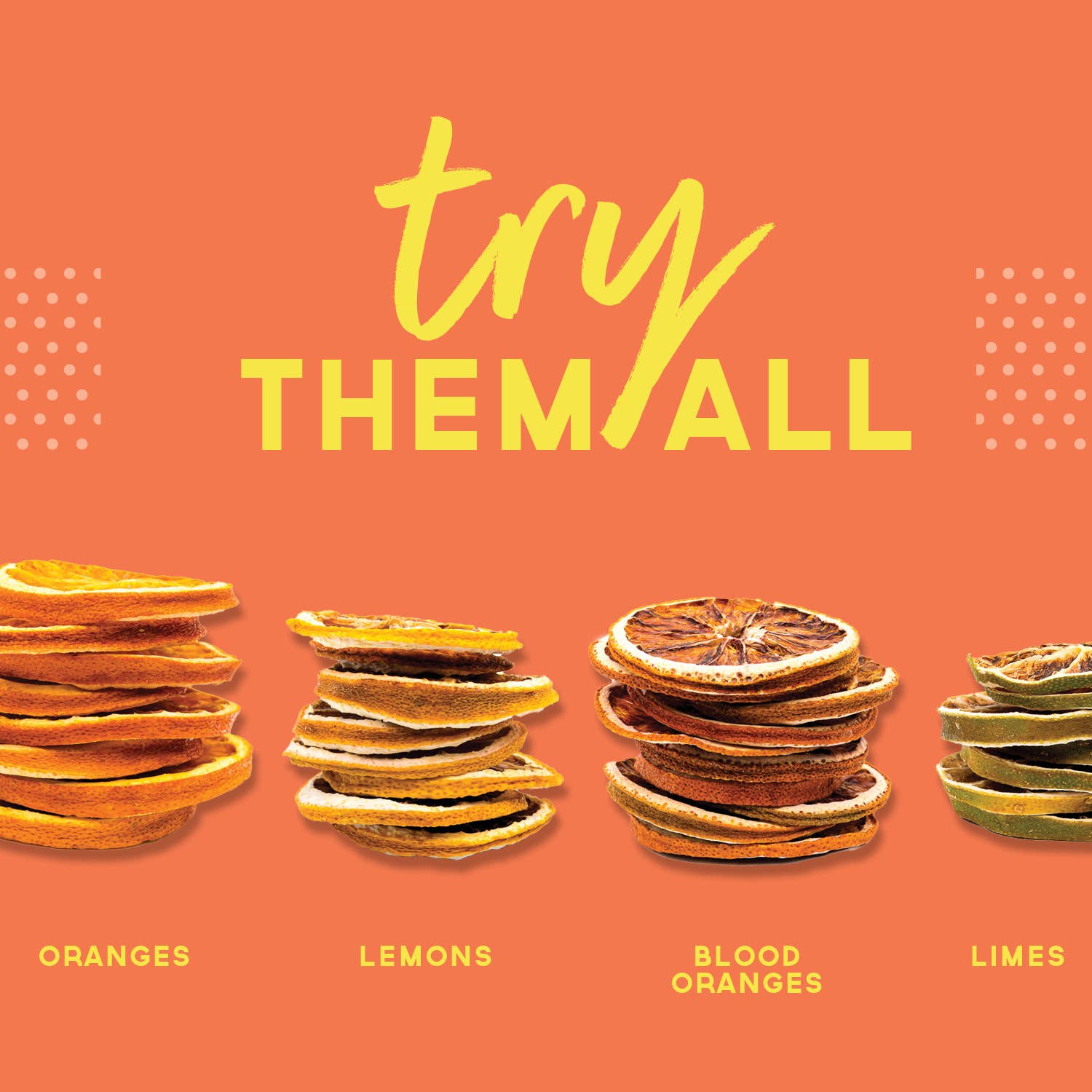 BlueHenry LLC - Wholesale Dried/Dehydrated Fruit - Dehydrated Orange Wheels (Small Case)5