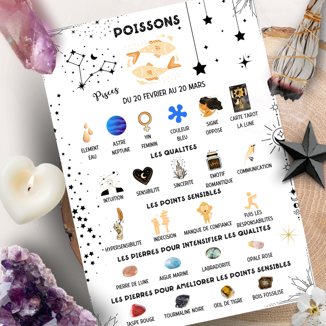 Les Moonettes - Wholesale Stationery/Notecard Set - 12 astro and lithotherapy cards The Moonettes + pouch5