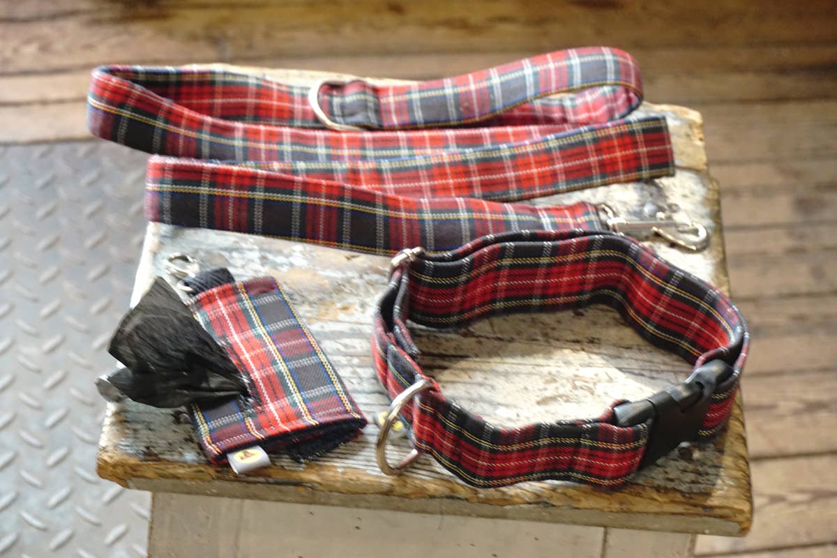 hundsfutter - Wholesale Pet Collar - Dog - Collar, leash, and bag holder set.6