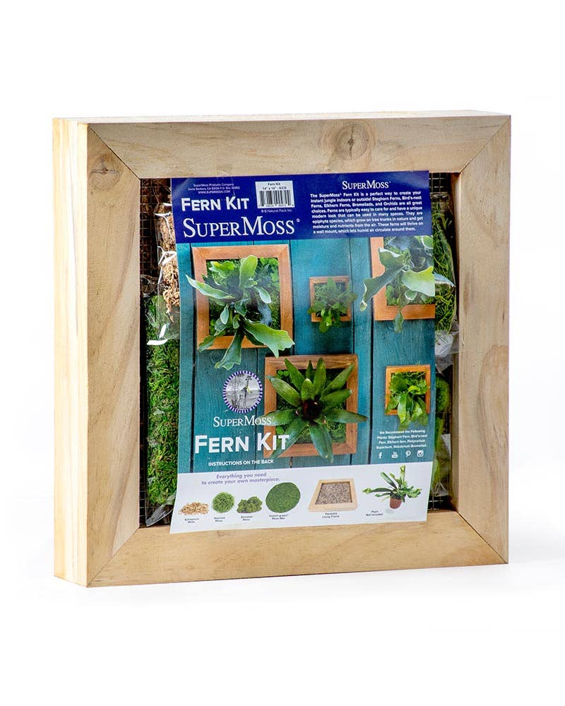 SuperMoss – wholesale DIY-pysselkit – Monterad ormbunkskit3