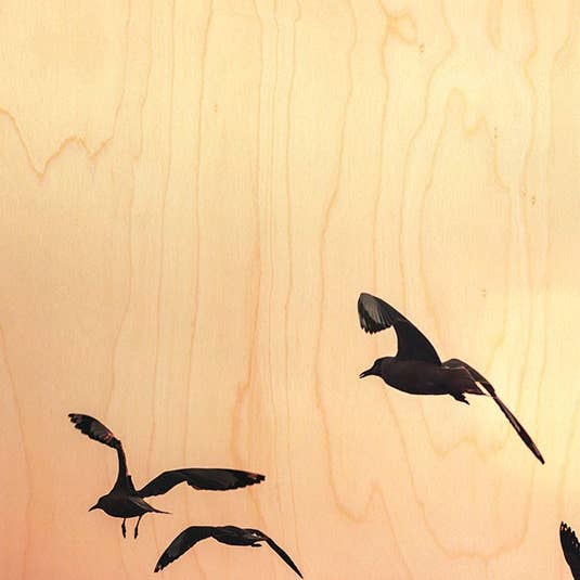 Postkarte „Möwen aus Holz auf Rosen“ für den Großhandel von Hironwoods