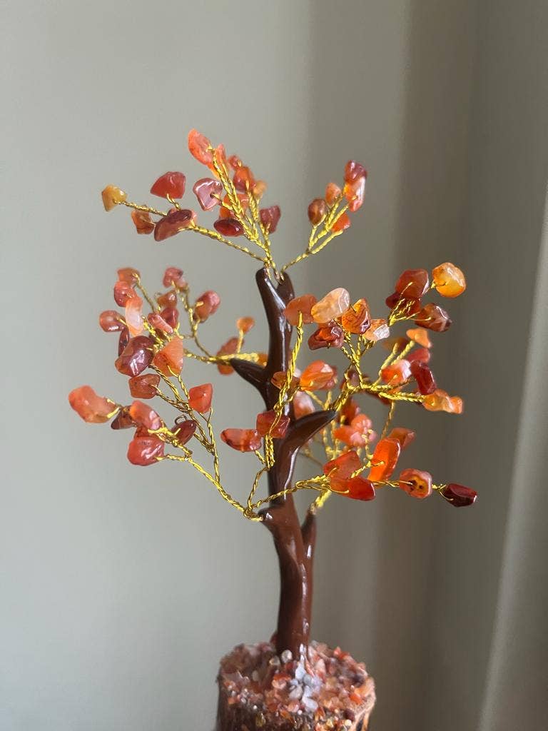 jiomind - Wholesale Spiritual Stone/Crystal - Red Carnelian Crystal Tree (100 chips)9