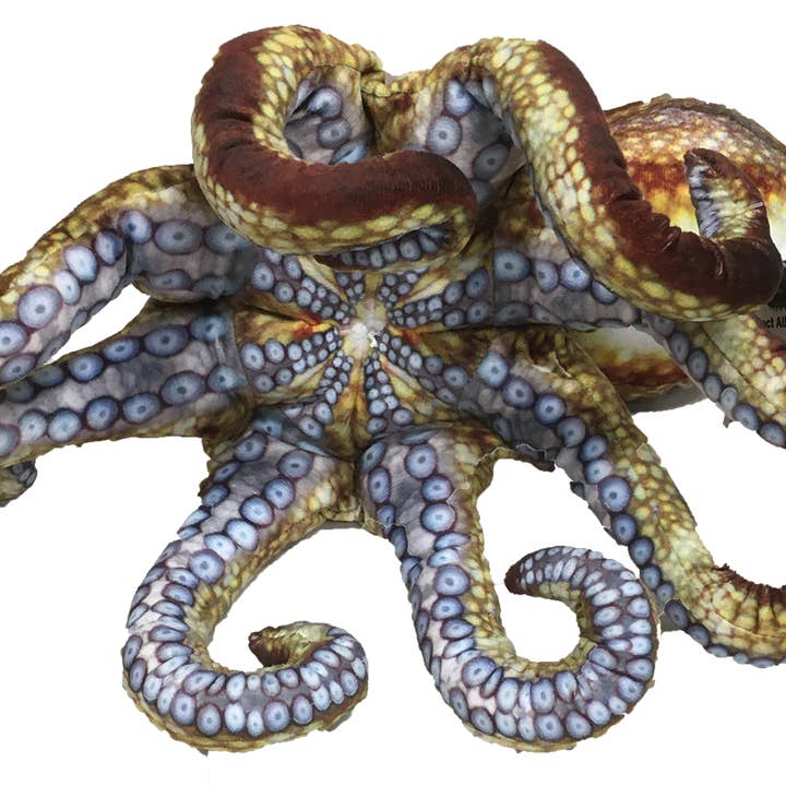 Texas Toy Distribution - Vendita all'ingrosso Peluche - Bambini e neonati - Peluche Octopus Aquatic Ocean da 25,4 cm3