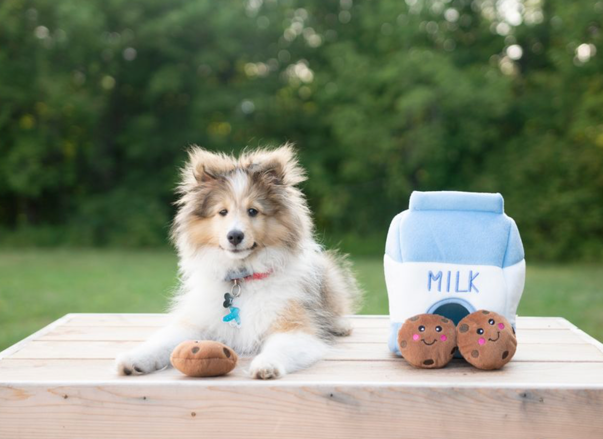 ZippyPaws - Wholesale Pet Plush Toy - Dog - Zippy Burrow - Milk and Cookies - Dog Toy7