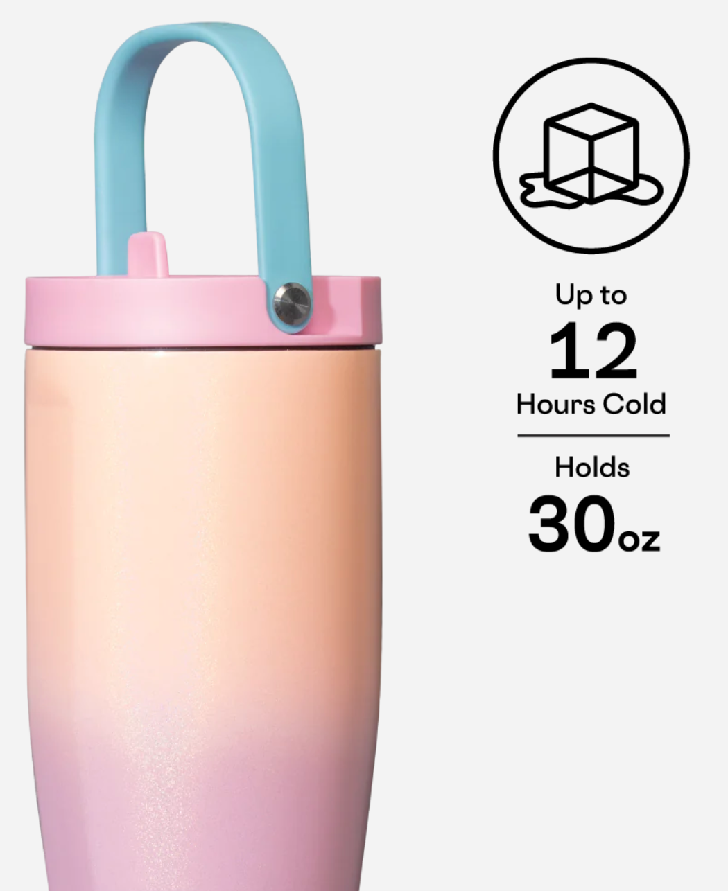 CORKCICLE - Wholesale Insulated Mug/Tumbler - 30oz Lover Go Cup XL2