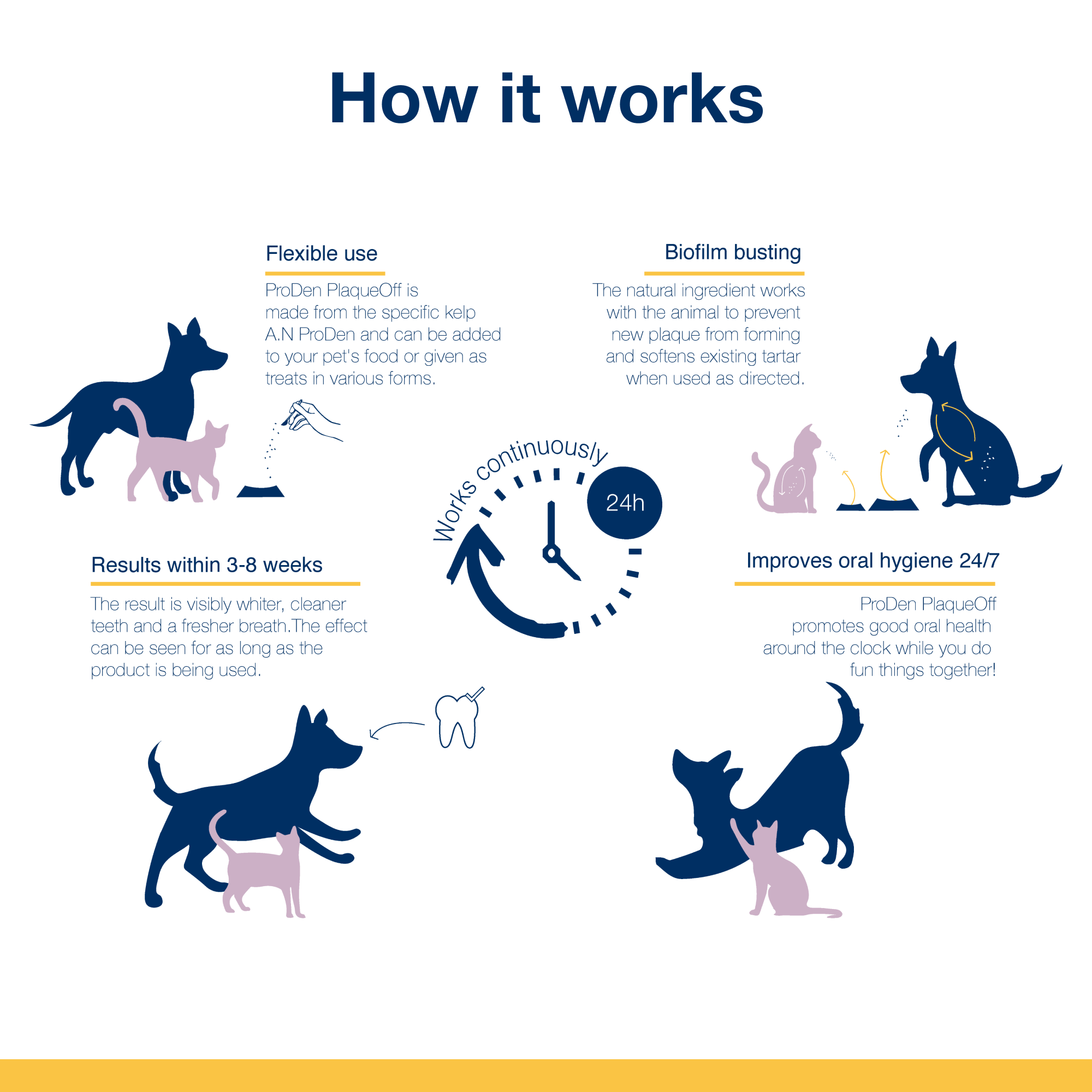 ProDen PlaqueOff - Wholesale Pet Supplement - Cat/Dog - ProDen PlaqueOff® Powder 60g Bottle8