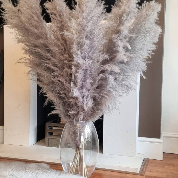 LoveProducts Ltd – Großhandel Getrocknete/gepresste Blumen – Großes Pampasgras natürliches dunkelgraues getrocknetes Blumendekor4