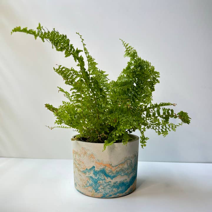 Fancy Concrete - Wholesale Plant Pot - Hera Pot 5.7” | Planter Pot | Indoor/Outdoor Planter