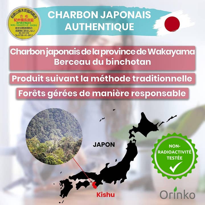 Orinko - Vendita all'ingrosso Filtro per acqua - Carbone attivo giapponese Binchotan Wakayama (Kishu) x14