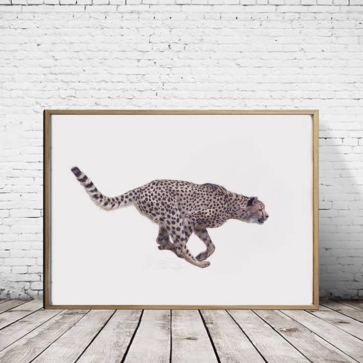 Guépard - Impression A4 (paysage) pour la vente par Hidden Planet