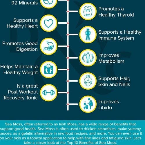 WHOLIFECO - Venta al por mayor Suplementos/vitaminas para beber - Gel de musgo marino de piña1