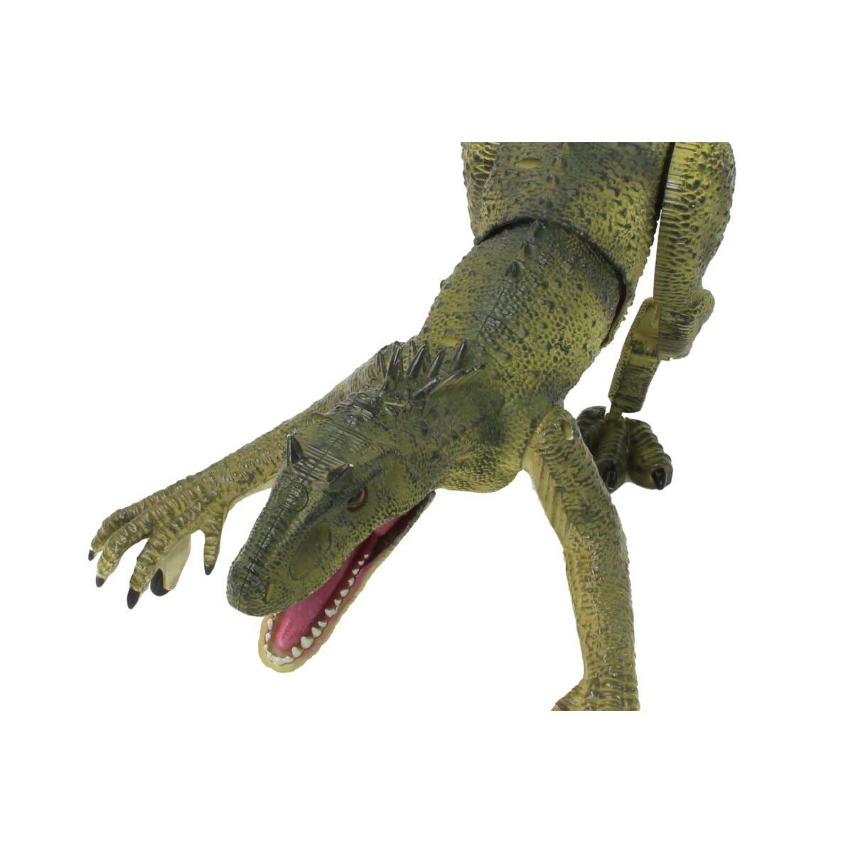 mhw24 - Wholesale Electronic Toy - Kids & Baby - Dinosaur Exoraptor Li-ion 3.7V 2.4GHz green10
