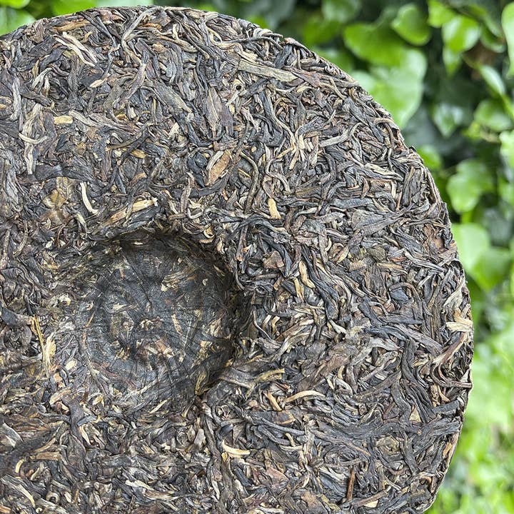 Puer Sheng te (rå) Bulang Treasure 2020 Kage 357g for engroshandel hos Tea soul