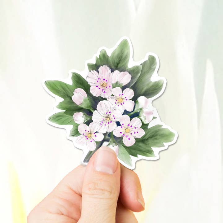 Katekreates - Wholesale Sticker - Watercolor Hawthorn Sticker, May Birth Flower, May Day Tree2