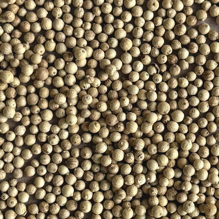 Sourcery - Wholesale Pepper/Peppercorns - Fermented White Pepper1