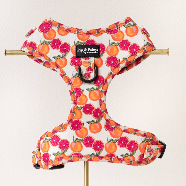 Imbracatura per Cani Tutti Frutti per la vendita all'ingrosso da parte di Pip and Palms