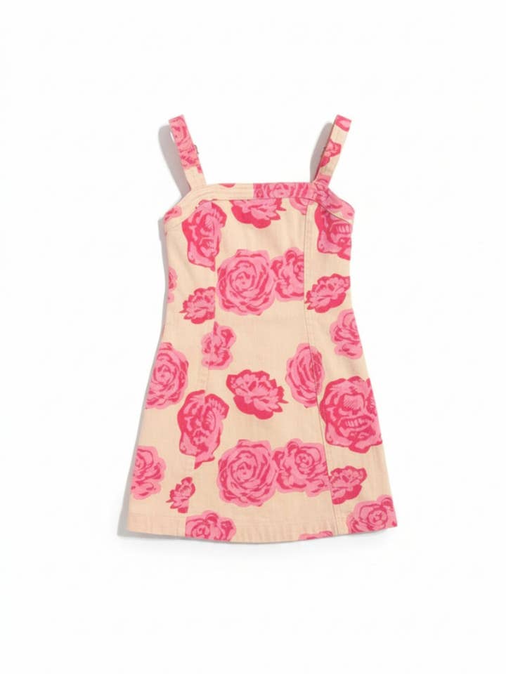 Wild Roses Denim Dress for wholesale by Finding Foxtale