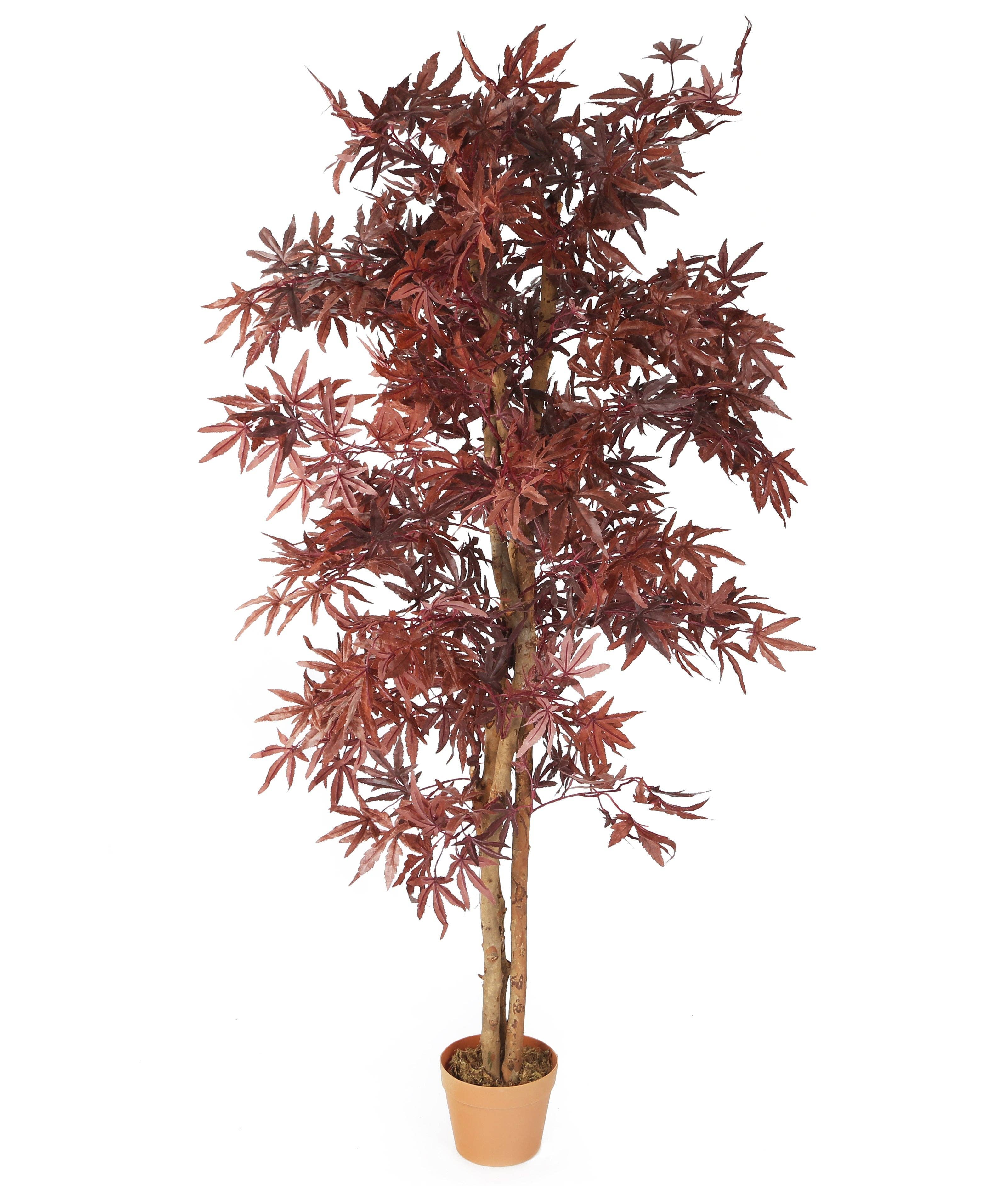 Closer2Nature – wholesale Artificial plant – Artificial 5ft 6" Chestnut Brown Japanese Maple Tree5