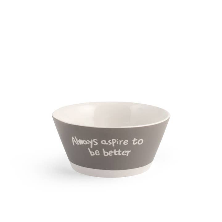 H&H - Wholesale Bowl - Bolo Attitude In New Bone China Decorated 500cc4