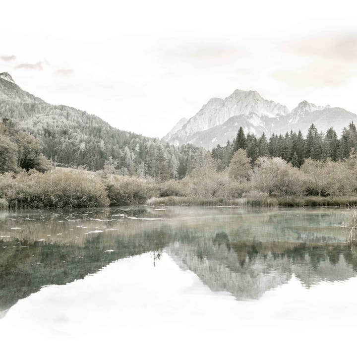 Mountain Views for wholesale by Ellisimo