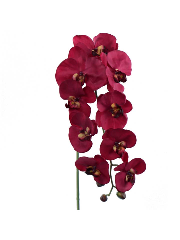 34" Phalaenopsis 9 Flowers, 3 Buds - Burgundy Faux for wholesale by Larksilk