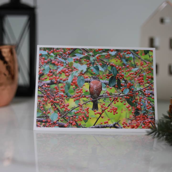 New England Prints - Wholesale Stationery/Notecard Set - Box of 5 All Occasion Majestic Bird Blank Note Cards6