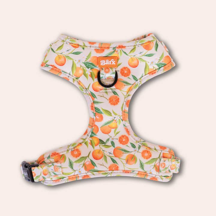 Barx - Wholesale Pet Harness - Dog - Adjustable Harness | Orancello