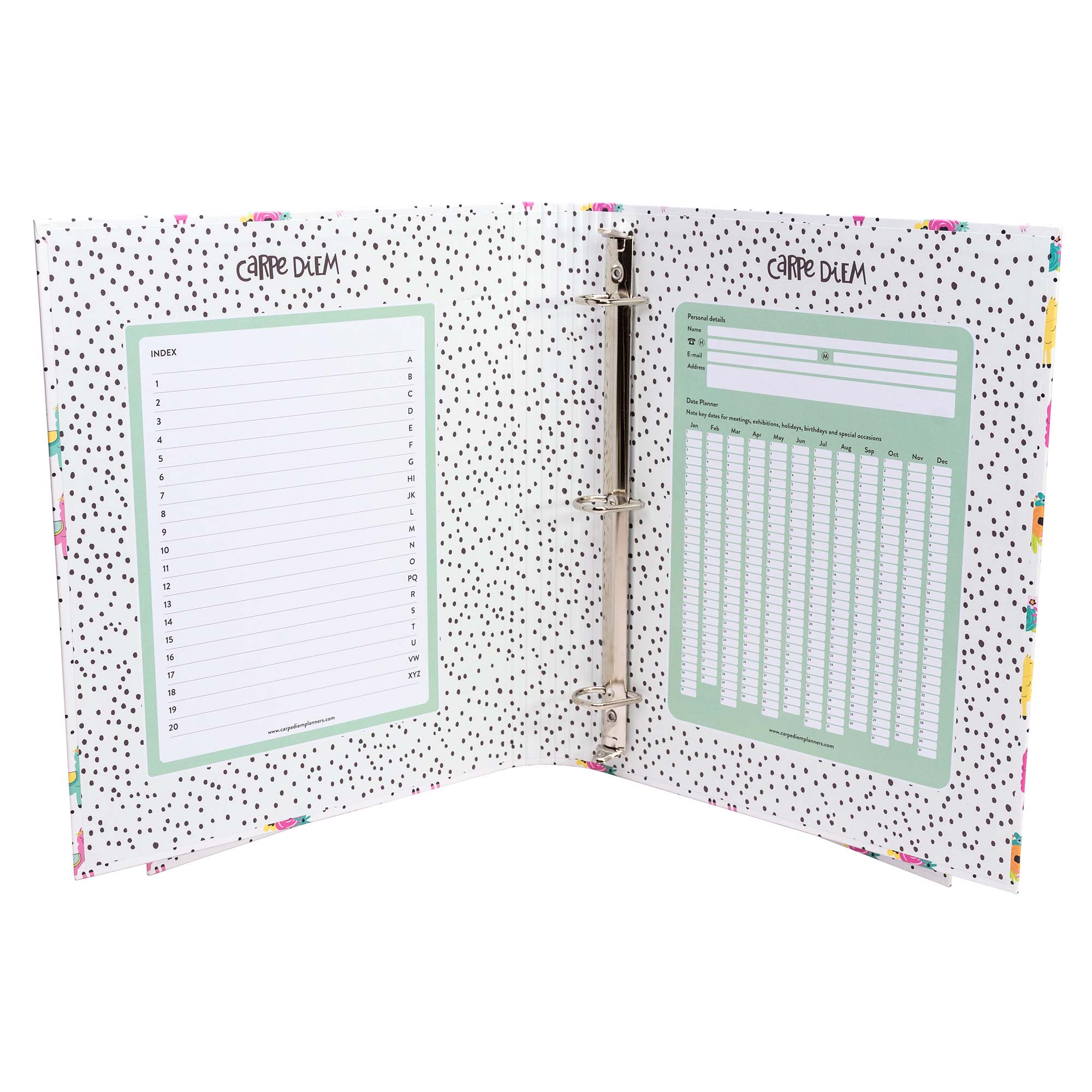 Pukka Pads North America - Wholesale Binder - Carpe Diem Preloaded Rollbound Binder12